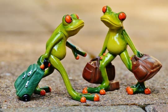 2015 stock market holidays and half days | NSE Holidays 2015