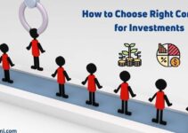 Top 15 Things About Choosing The Right Company for Investment