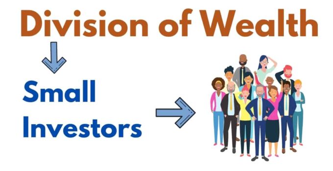 Division of Wealth for small investors