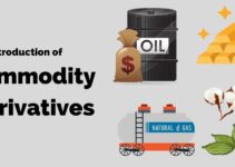 Small Introduction of Commodity Derivatives