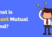 What is Quant Mutual Fund?